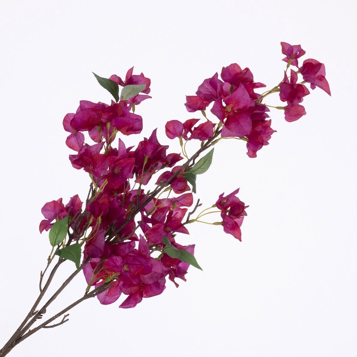 <h4>Bougainvillea Spray Fuchsia FL440279FSA</h4>
