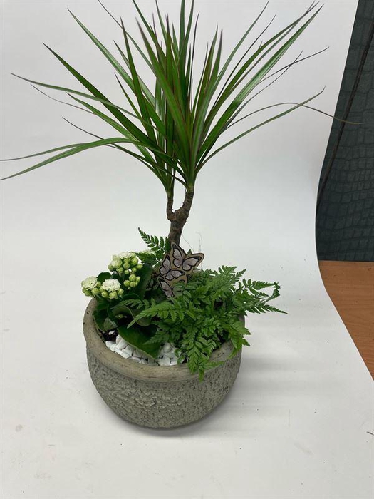 2334  KER GREY BAROK CHAM