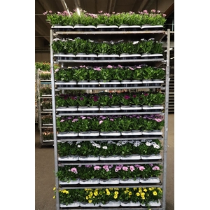 Osteo Mixk 1 Klr Per Tray