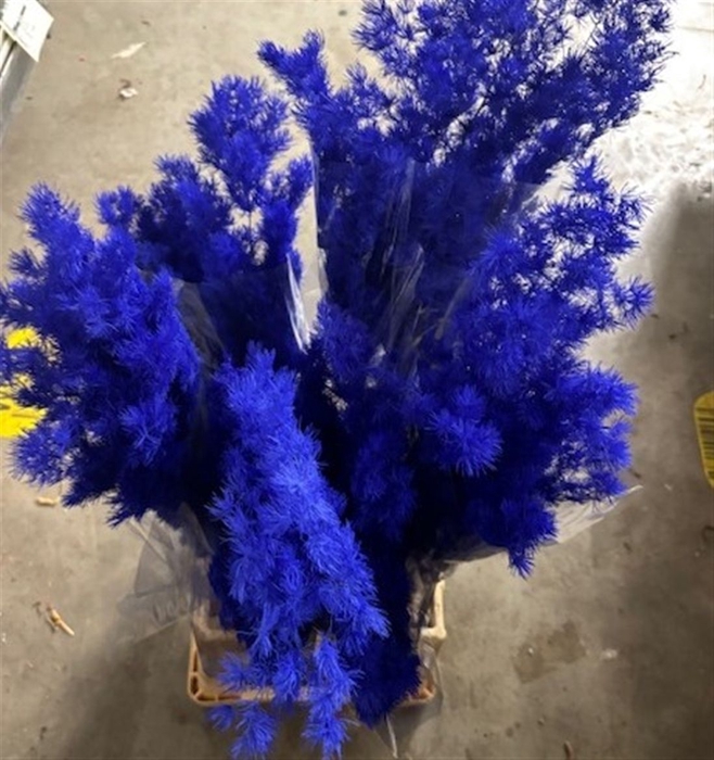 <h4>Dried Asparagus Blue</h4>