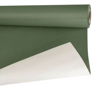 <h4>Papier betterave kaki (57I0004)</h4>