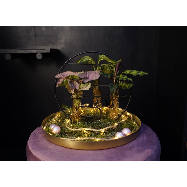 <h4>Christmas | Intenz mix in Dubai 2.0 glas - levertijd: 24 uur</h4>