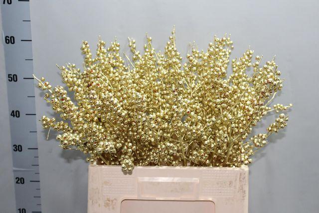 <h4>Ilex Ve Klb H%</h4>