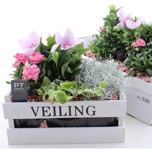 ARR TUINPLANTEN