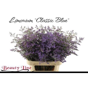Lim Saf Classic Blue