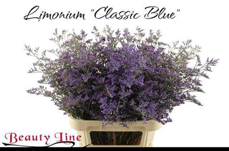 <h4>Lim Saf Classic Blue</h4>