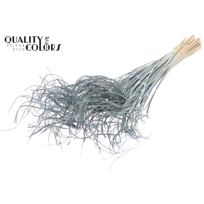 <h4>Palm Curly TT 3pc/tuft - 33 tuft/bunch Frosted Light Blue</h4>