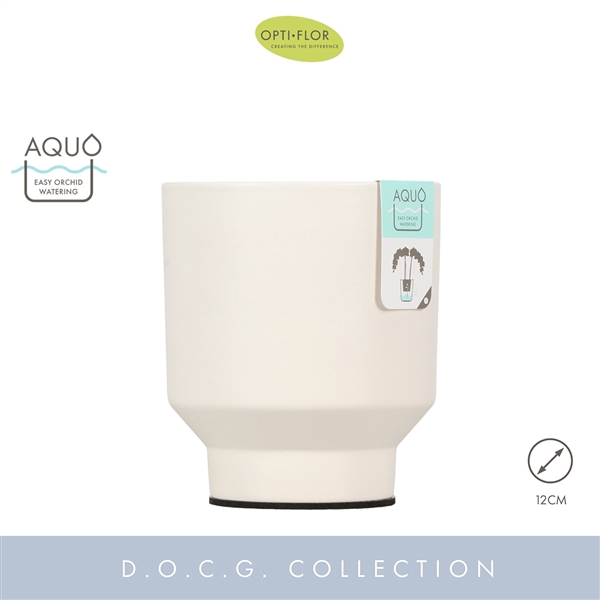 <h4>Emilia White 12 cm Aquo</h4>