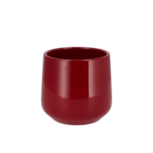 Ceramic Wine Red Shiny Pot Orchid Berlin 14cm