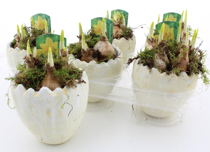 <h4>ARR N TETE A TETE</h4>