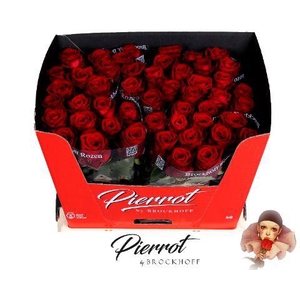R GR RED NAOMI! L60 PIERROT
