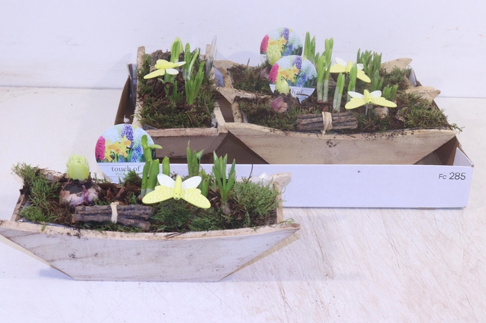 <h4>ARR BOL KNOLGEWAS</h4>