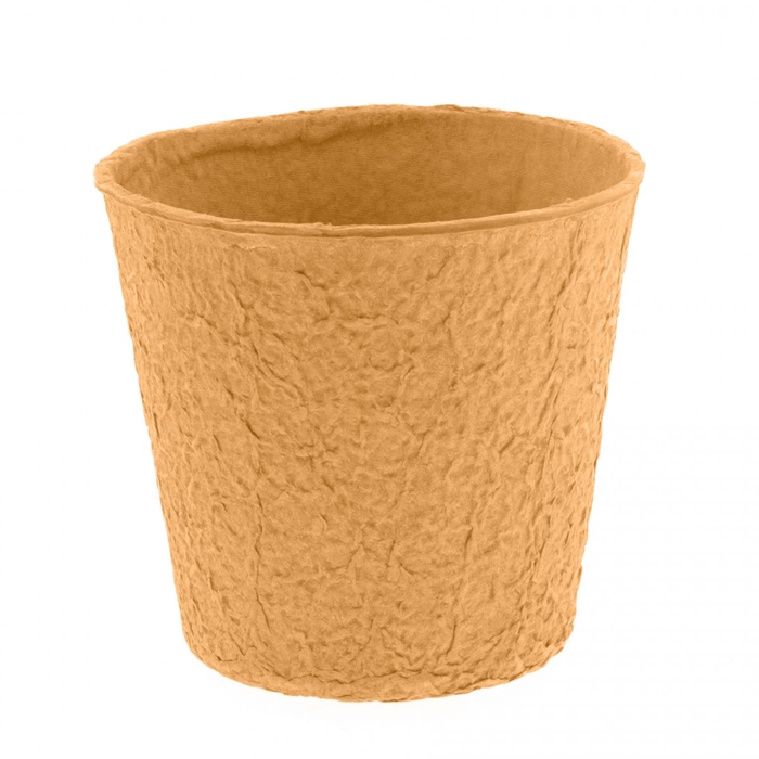 <h4>Pulp Carta d12*12cm</h4>
