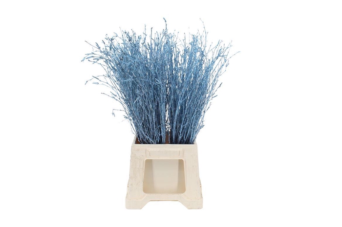 <h4>Berk ( Birch ) Metallic Blue</h4>