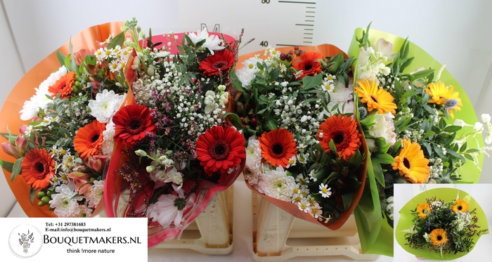 <h4>GEM BOEKET OV</h4>