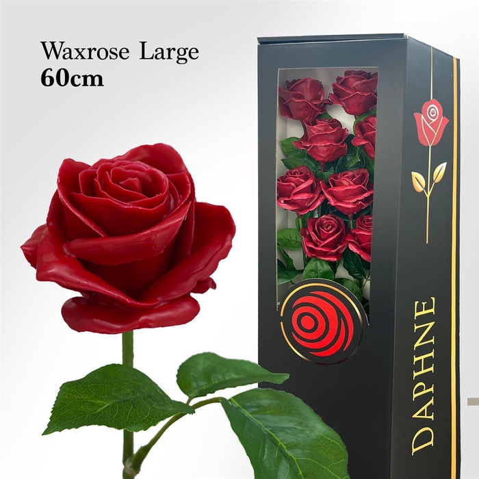 <h4>Wax Rose L Wine Red 60cm</h4>