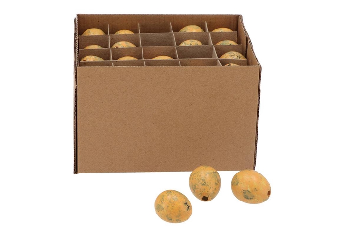 <h4>Eggs Quail Abricot 2.5x3.5cm P/60</h4>