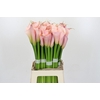 Zantedeschia Eydolls Pink