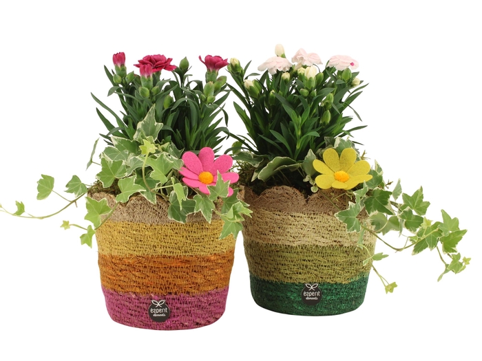 <h4>31681: Outdoor summer arrangement</h4>