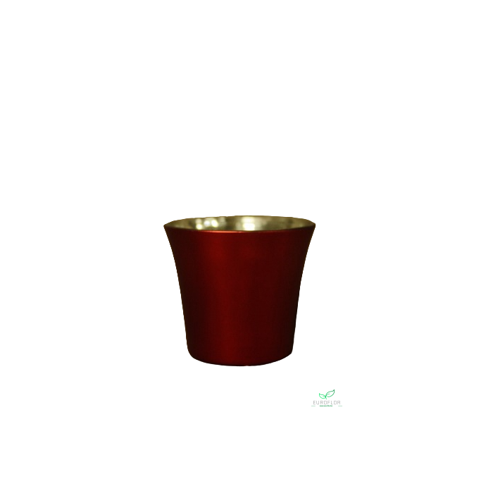 <h4>GLAS D6.6H6CM ROOD</h4>