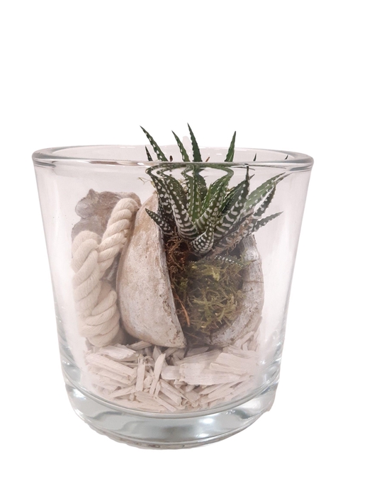 <h4>BNG14WHI Cil glas dik Haw+Buddha Nut + deco wit</h4>