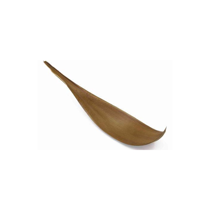 <h4>Coco Giant L60</h4>