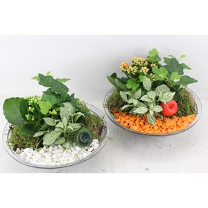 arr2 PL - Glas schaal 23cm - oranje/wit