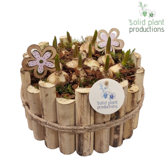 <h4>HMU002 Milano Large Muscari</h4>