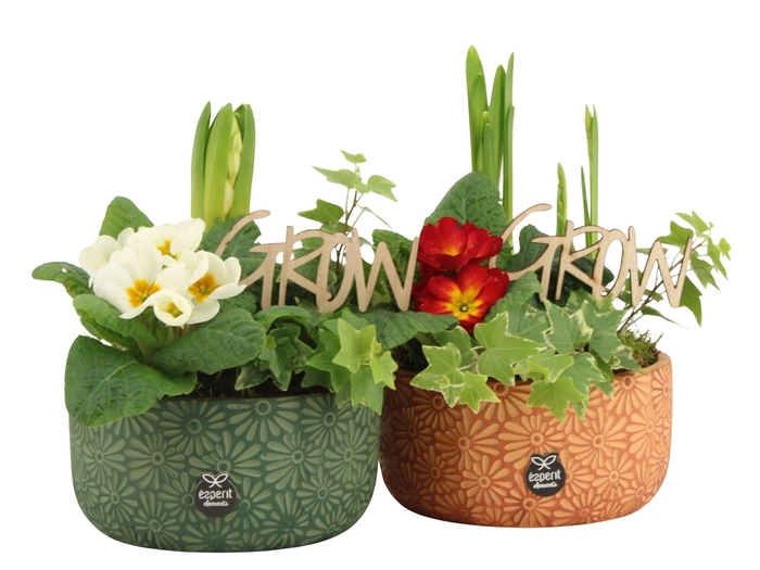 <h4>11331: Outdoor spring arrangement</h4>