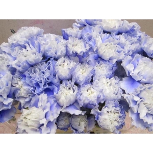 Di St G Pastel Lilac