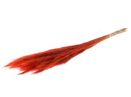 Bunch Foxtail Slv 80g L80