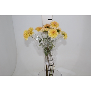 DALIA POM POM SALMON 050 CM