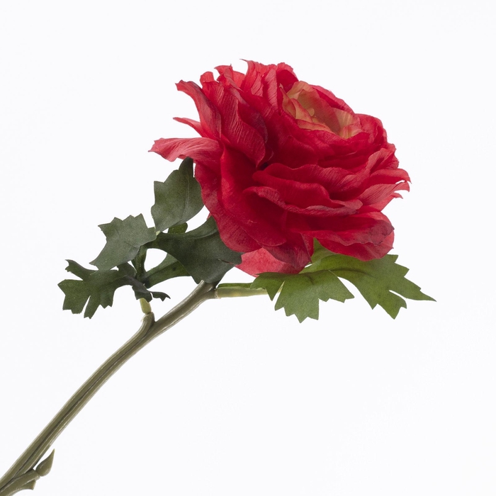 <h4>Ranunculus Red FL440352RED</h4>