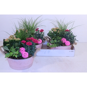 ARR TUINPLANTEN