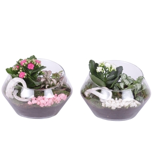 Yearround Arr. Indoor Glass Oblique UFO Vase Ø20cm 2PP