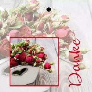 Labels Kaart 7*7cm x20 Danke