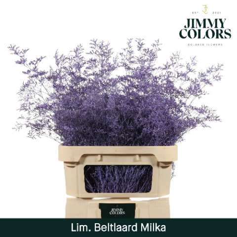 <h4>Lim Bel L90 Milka</h4>