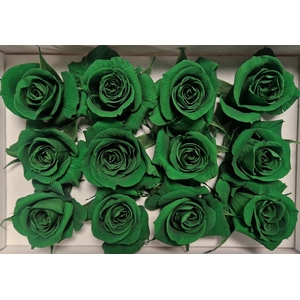 Ro Pres Mini Green Dark