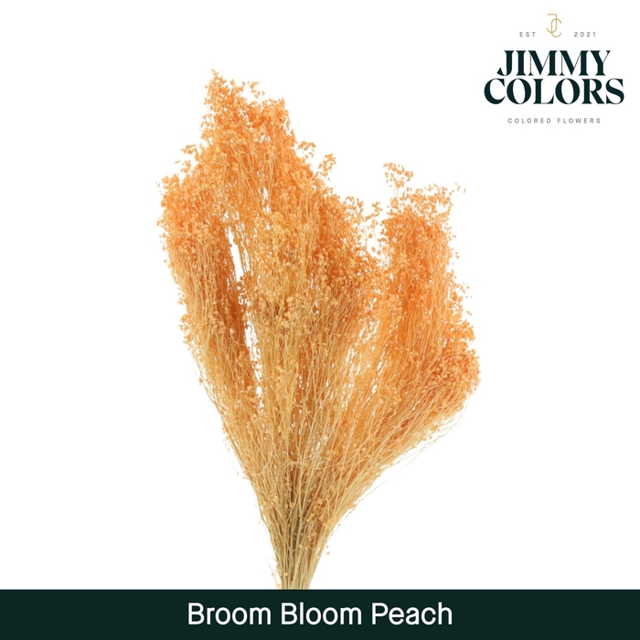 <h4>Broom Bloom Peach</h4>