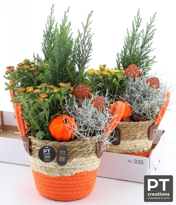 <h4>ARR TUINPLANTEN</h4>