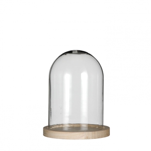 Glass Cloche+wood d12*16cm