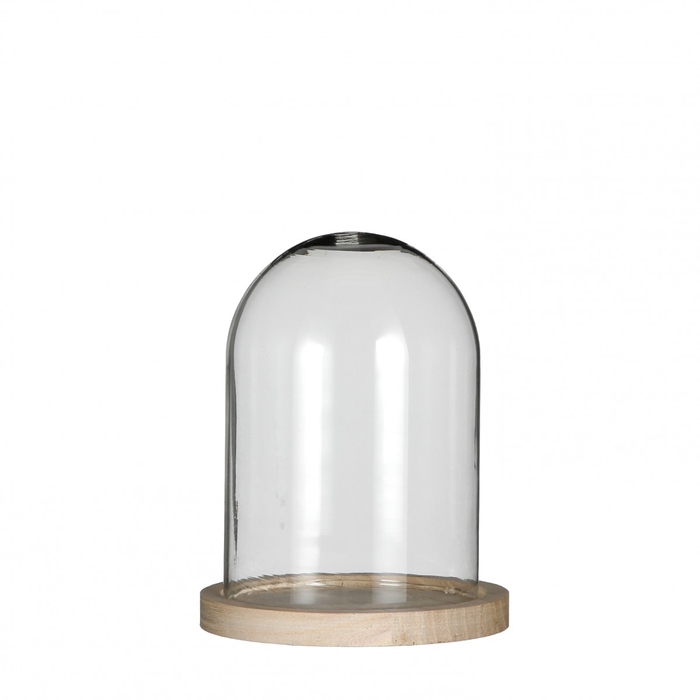 <h4>Glass Cloche+wood d12*16cm</h4>