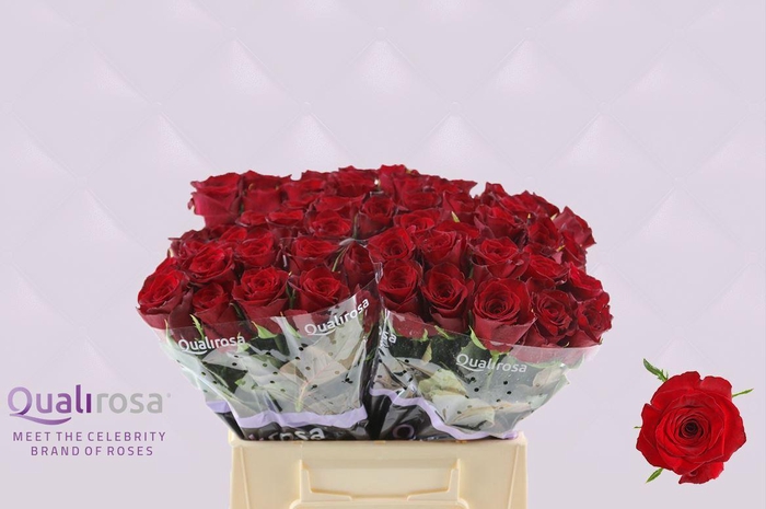 <h4>R Gr Monte Carlo</h4>