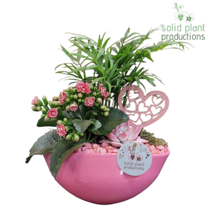 CE005 Evelyn Pink VM