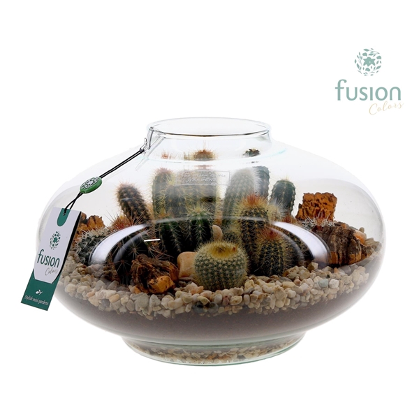 <h4>Green Bottle Luna XLarge met Catussen arrangement</h4>