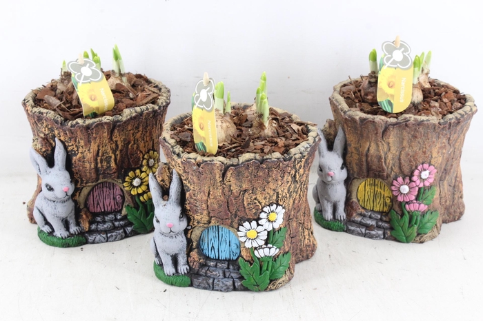 <h4>arr4 Narcis PL - Keramiek boomstam</h4>