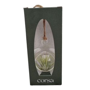 ARR TILLANDSIA