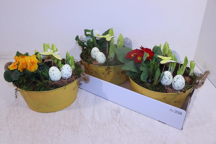 <h4>ARR TUINPLANTEN</h4>