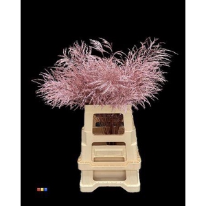 Treefern Metallic Pink