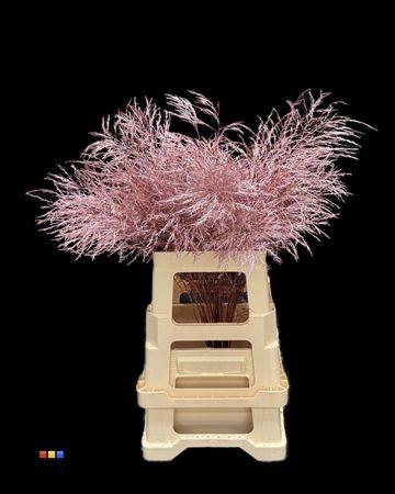 Treefern Metallic Pink